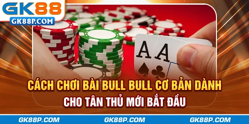 cach-choi-bai-bull-bull-co-ban-danh-cho-tan-thu-moi-bat-dau-gk88p-com