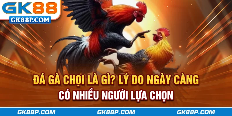 da-ga-choi-la-gi-ly-do-ngay-cang-co-nhieu-nguoi-lua-chon-gk88p-com