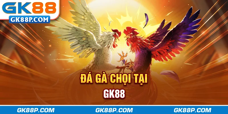 da-ga-choi-tai-gk88p-com