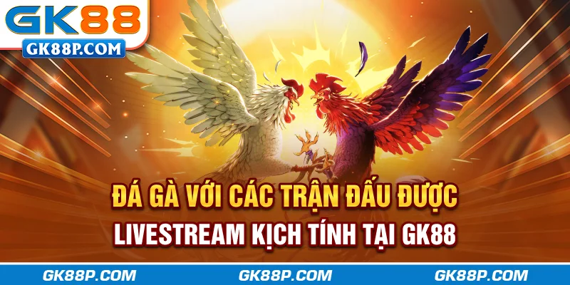 da-ga-voi-cac-tran-dau-duoc-livestream-kich-tinh-tai-gk88p.com