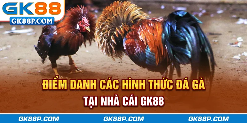 diem-danh-cac-hinh-thuc-da-ga-tai-nha-cai-gk88p.com
