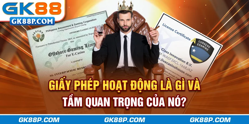 giay-phep-hoat-dong-la-gi-va-tam-quan-trong-cua-no-gk88p-com