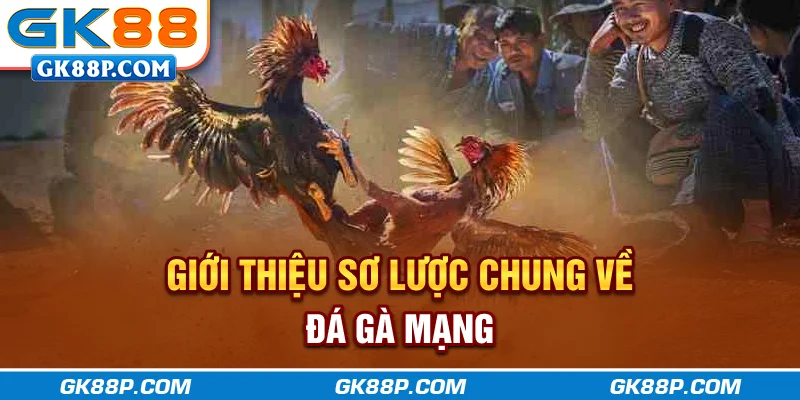gioi-thieu-so-luoc-chung-ve-da-ga-mang-gk88p-com