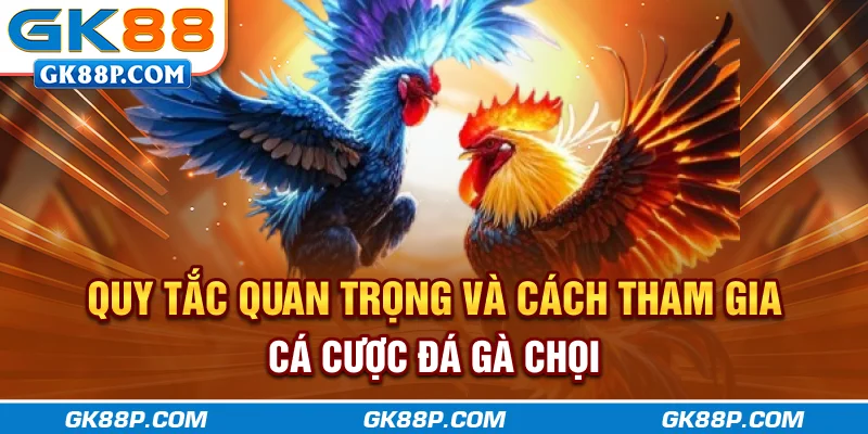 quy-tac-quan-trong-va-cach-tham-gia-ca-cuoc-da-ga-choi-gk88p-com