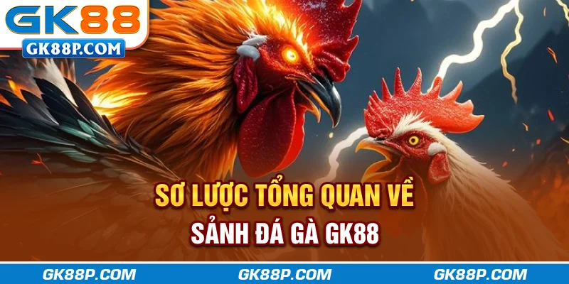 so-luoc-tong-quan-ve-sanh-da-ga-gk88p.com